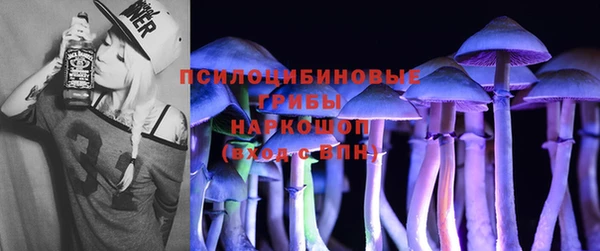 амф Верхний Тагил