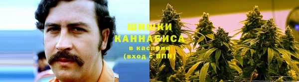 амф Верхний Тагил