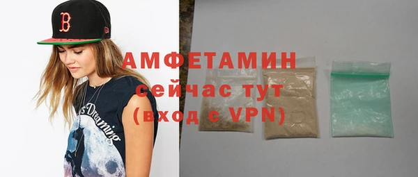 амф Верхний Тагил