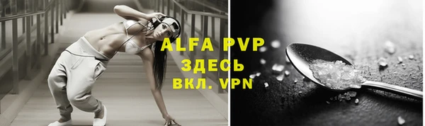 амф Верхний Тагил