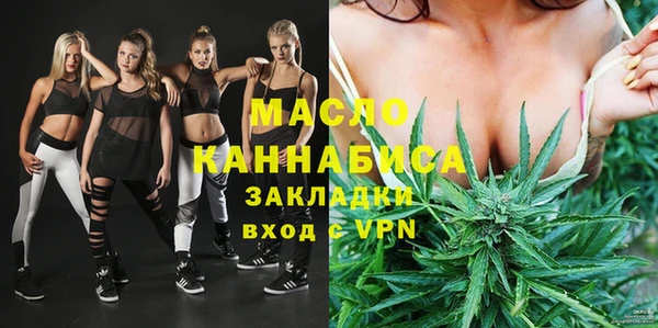 амф Верхний Тагил