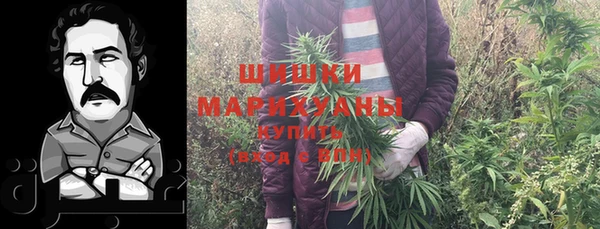 амф Верхний Тагил