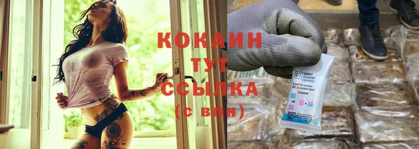 амф Верхний Тагил