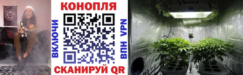 Бошки Шишки марихуана  Купить закладки  Вуктыл 